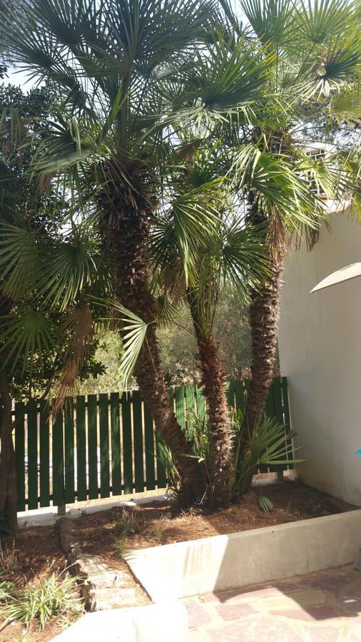 Villa Chabola Denia Dış mekan fotoğraf
